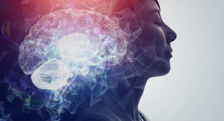 Candidate Experience Guide